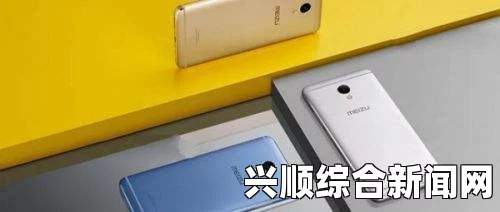 高品质Y31与普通Y31之间的具体差异有哪些？成色好的Y31与普通Y31区别在哪