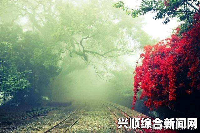 用力挺进她的花苞 啊太深了作文：深入探讨语言表达与情感传递的界限，引发网友激烈讨论