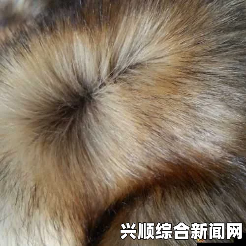 探讨AAAA级毛皮的真实面貌：究竟是纯天然材质还是仿制品？