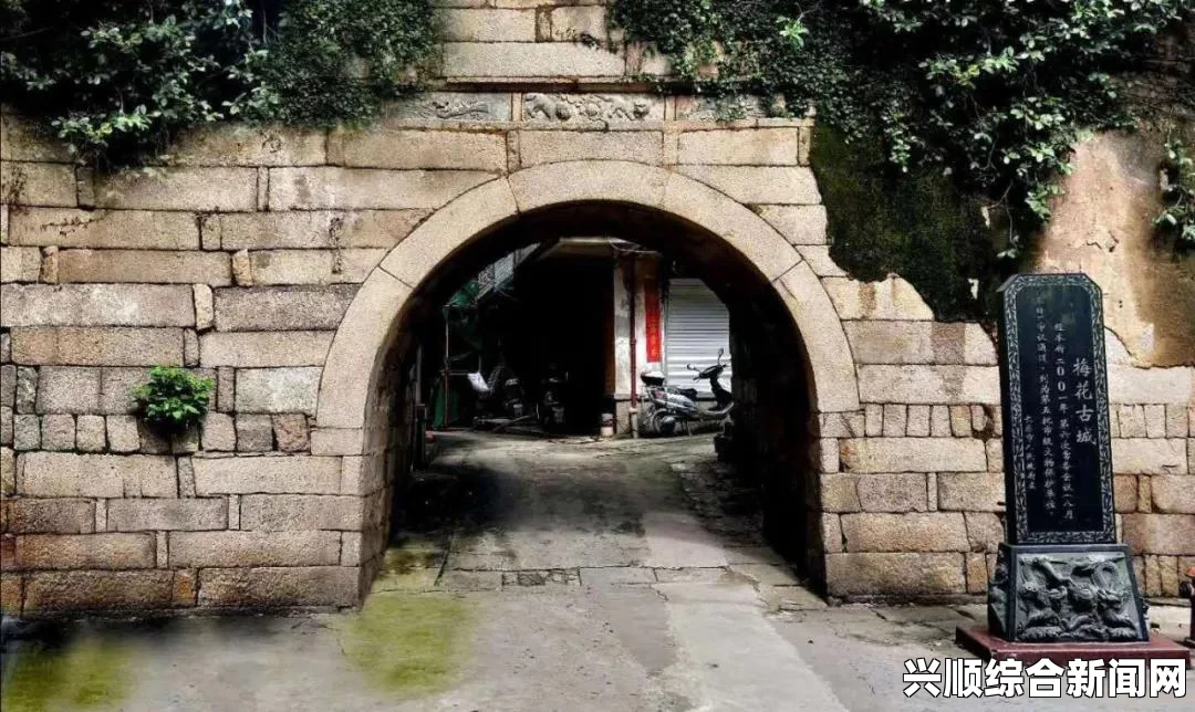 1377人文艺术表演的点赞次数：影视探索、武打片的刺激与评价在小说中的共鸣