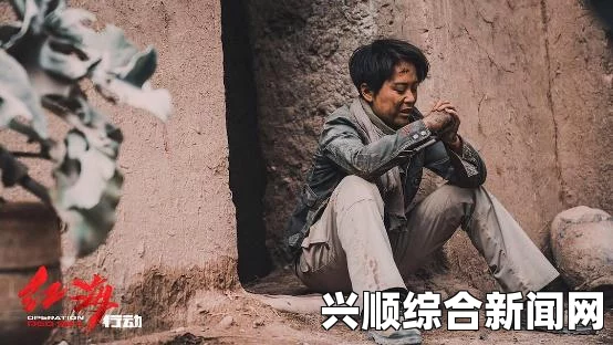 索马里飞机爆炸被迫返航事件，引起了国际社会的广泛关注。据报道，某架从索马里起飞的航班在飞行过程中遭遇了爆炸，随后被迫返航。据初步推测，此次事件可能是由索马里青年党放置的炸弹所导致。