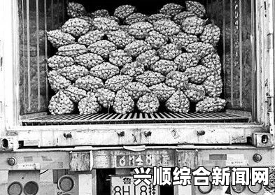 韩媒报道，韩国坟墓中大量出土中国2000年前铜钱（图）