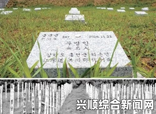 韩媒报道，韩国坟墓中大量出土中国2000年前铜钱（图）