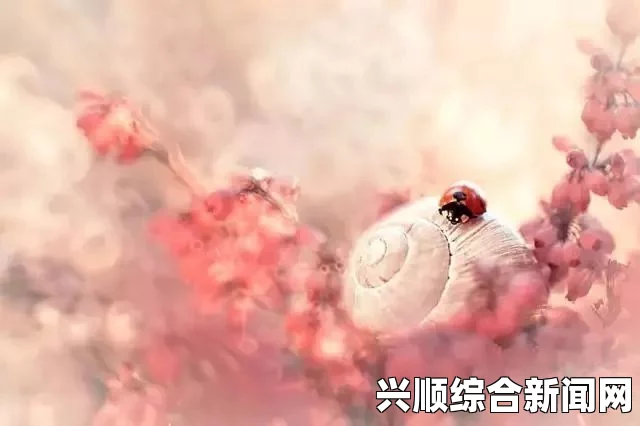 自由绽放的野花：追寻内心深处的激情与解放，感受自然的拥抱与生命的无限可能。