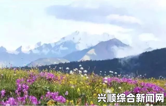 自由绽放的野花：追寻内心深处的激情与解放，感受自然的拥抱与生命的无限可能。