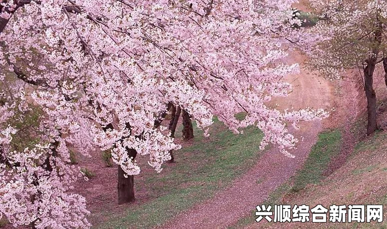 畅游樱花动漫官网网页版，感受激情与梦想的碰撞，释放内心深处的无限可能！