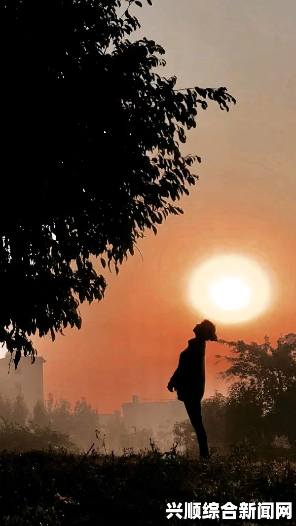 黄昏的视角：在激情与沉思中穿行，打开心灵的窗扉，拥抱生命中的每一缕阳光。
