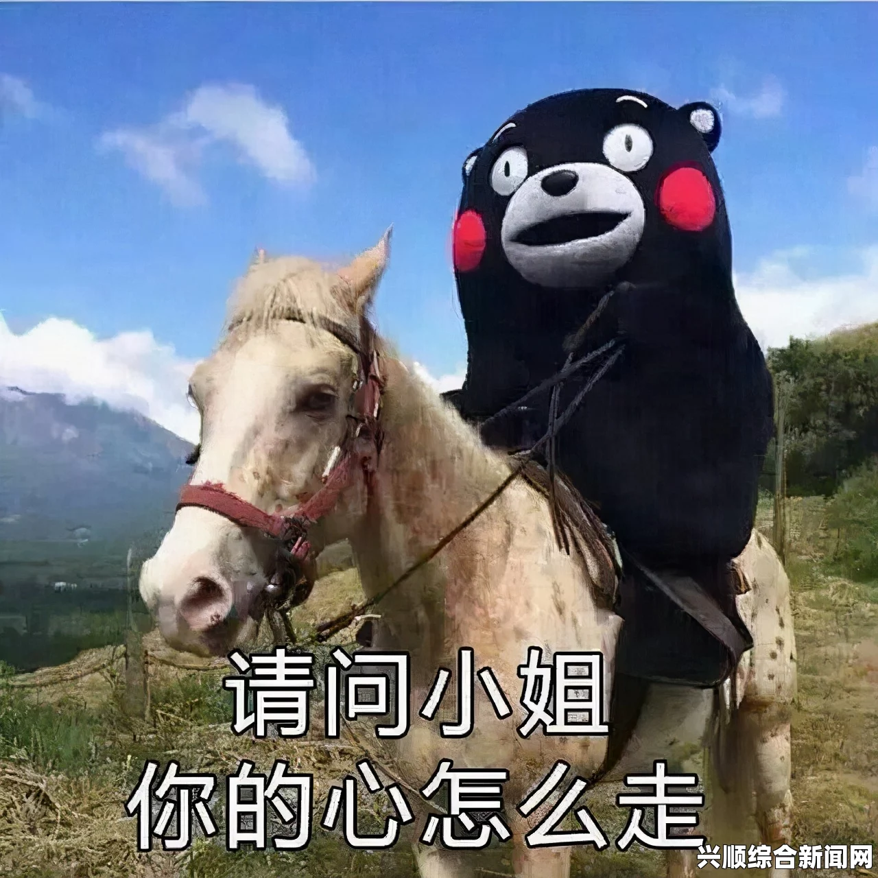 瑶在草地上被萌宠搞得流口水翻白眼，笑到心花怒放的爆笑表情包引发心理共鸣！