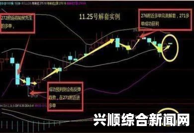 通过网站成功连接至192.168，畅享数字世界的无尽可能与心灵的自由释放，共同探索未来的无限精彩！