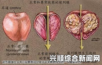 女孩迈开腿让男孩看膀胱深入探讨：一级产区与二级产区之间的精彩对比及其带来的无穷可能性！