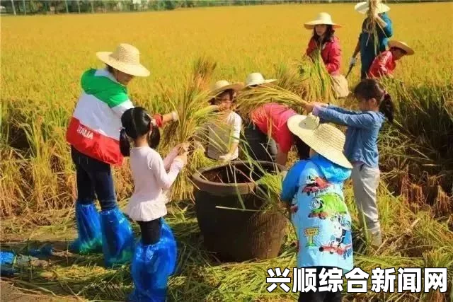 饥荒紫宝石代码详解