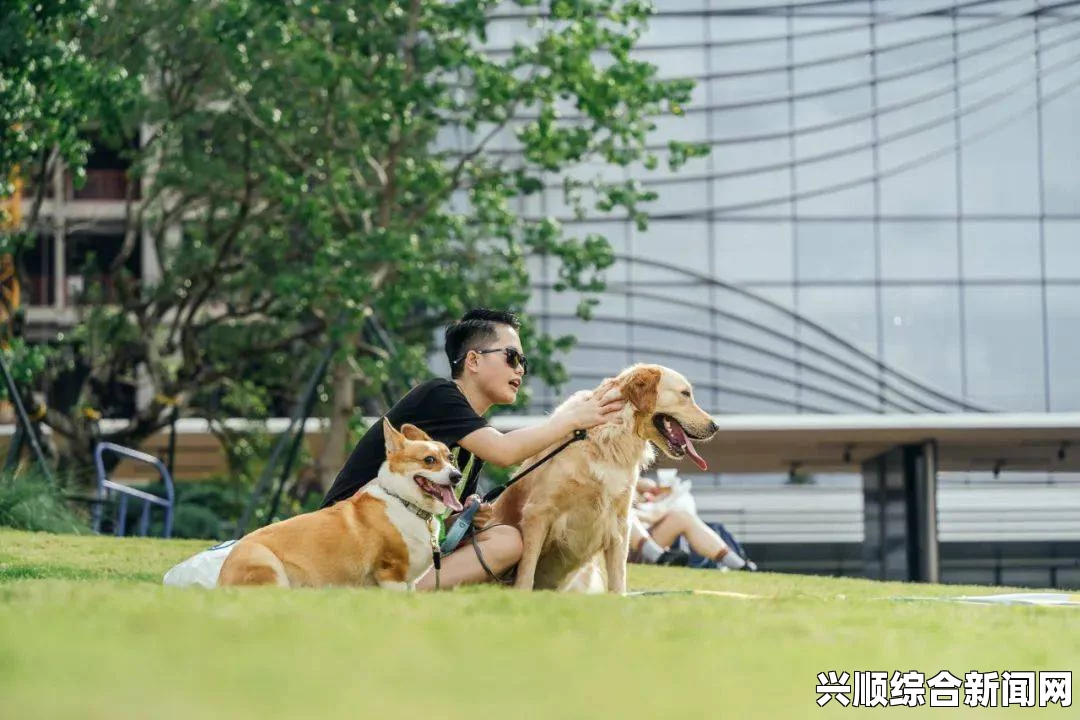 泰拉瑞亚血月掉落物品详解