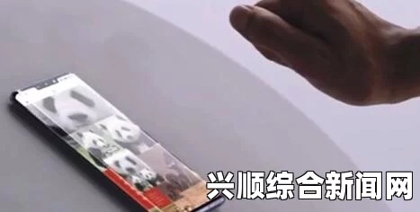 日本政府计划大幅削减捕鲸数量，应对全球动物保护呼声的新动向