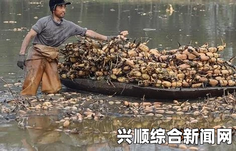 全境封锁2组队掉线问题解决方案