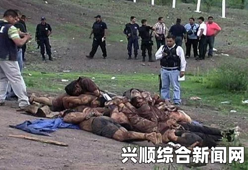 吞食孔明传，张辽的收纳攻略