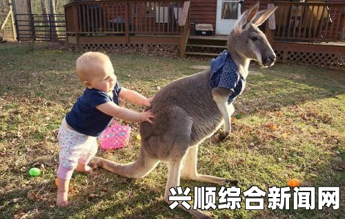 死或生5最后一战衣服解锁条件一览及解锁方法