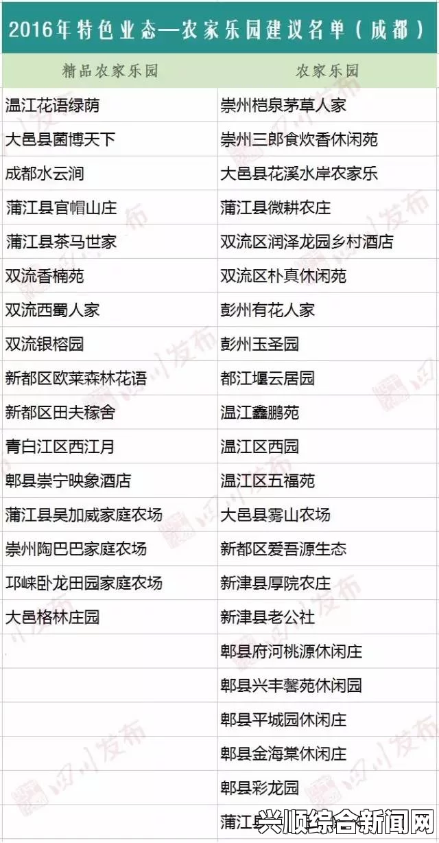 91在线精品一区二区有哪些特点？它是否符合你的需求？