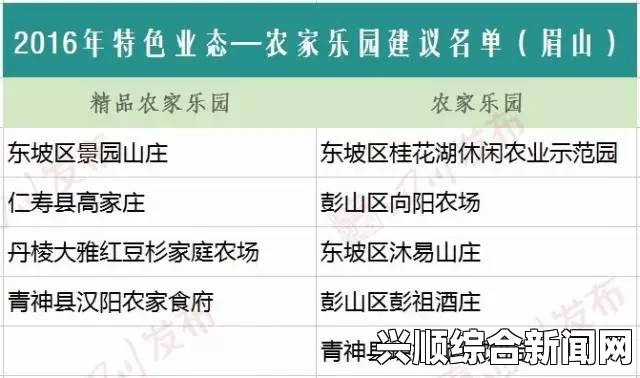 91在线精品一区二区有哪些特点？它是否符合你的需求？