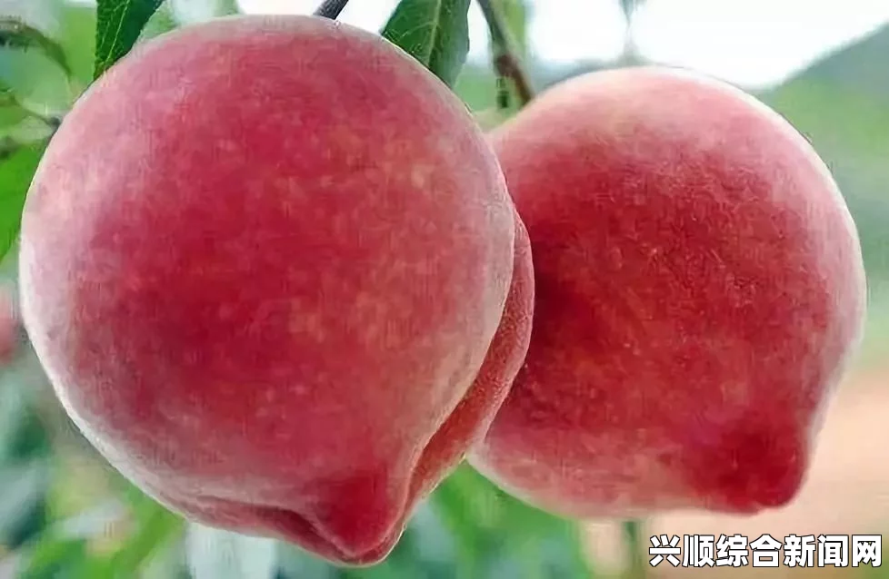 DNF亡魂母鸡一套秒杀暗卢克，深渊战术与极致输出