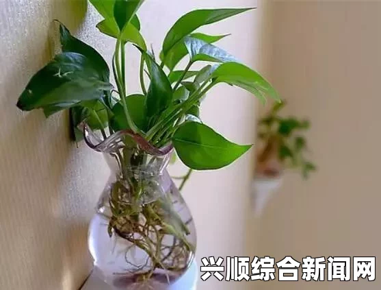 童子军现象引人忧，伊拉克儿童遭遇暴力侵害，2014年受害人数达700人
