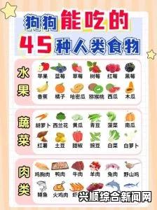 狗和人胶配方20分钟：如何用20分钟制作健康胶状食品，增强狗狗与人类免疫力？探索简单易行的食材搭配与营养秘诀