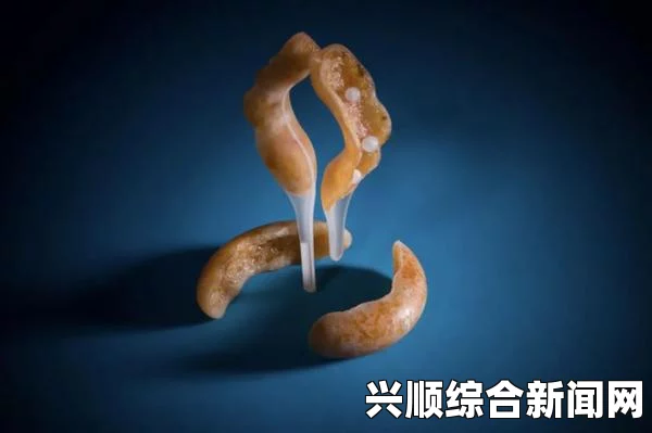 味觉探索与食物的体验：为何舌头与食物的互动如此吸引人，揭示感官享受背后的科学与艺术