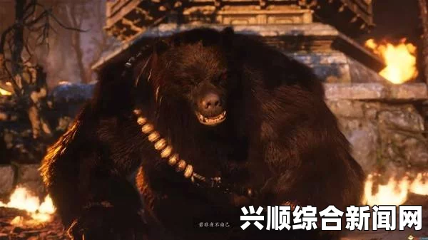 巫师3哪些煎药好用