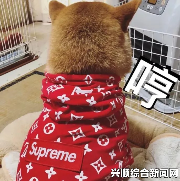 漫威蜘蛛侠电路谜题攻略详解