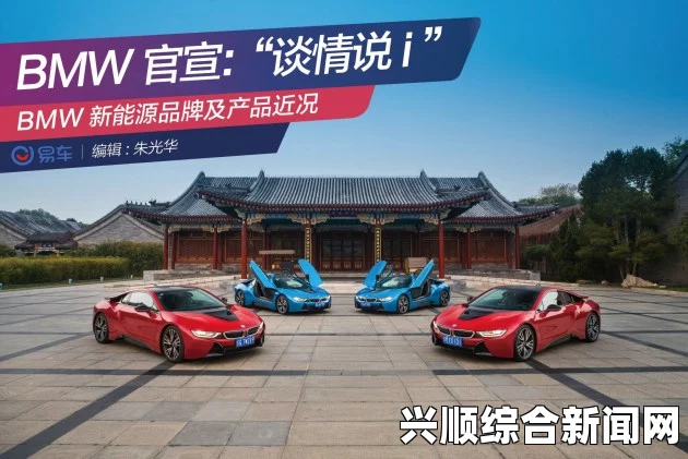 四川BBBBB毛毛多：引领市场的高端品牌
