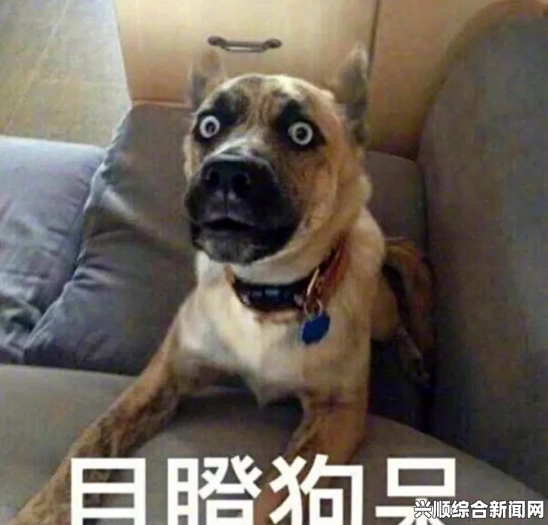 揭示“某某”基因的奥秘：从“精品人”到“猪”和“狗”的DNA研究