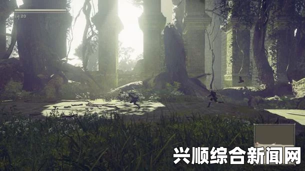 美丽背后的困扰，少女遭嫉妒暴力对待，被迫喝泥水事件反思