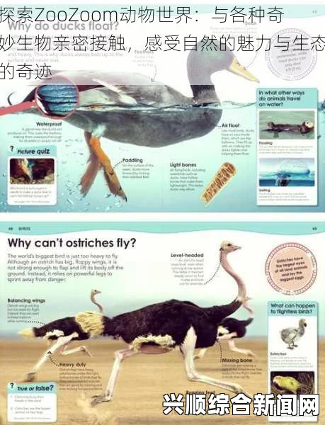 ZoomZookeeper动物：探索无穷乐趣，体验与动物亲密接触的激情之旅