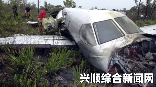美国佛罗里达州一架小型飞机坠毁，疑似飞行员起降失误所致