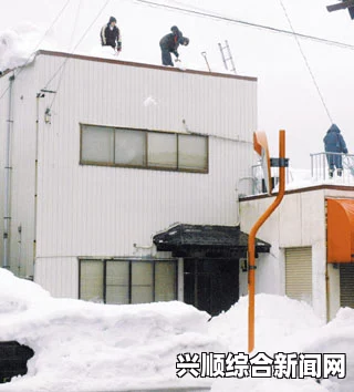 日本雪灾事故导致多人死亡，事故原因多为积雪导致的屋顶崩塌。以下是基于您提供的小标题关键词生成的内容