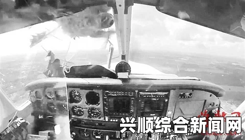 美一私人飞机遭飞鸟撞击，挡风玻璃碎裂，驾驶员受伤