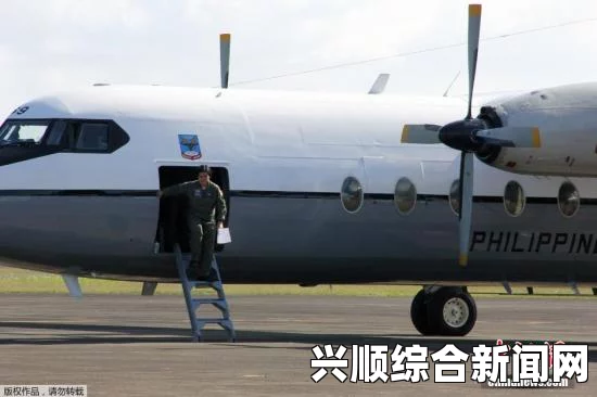 越南媒体关于搜救人员发现失联客机信号的报道