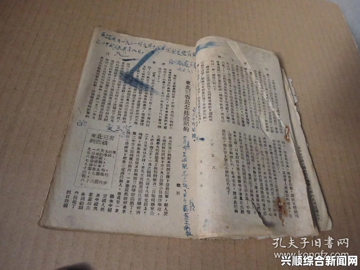 剑士红色强盗通缉犯，历史与资料揭秘