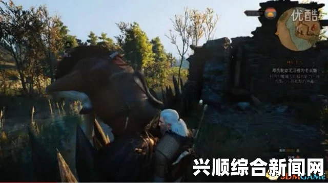 巫师3狂猎BUG大揭秘，奇葩问题视频合辑