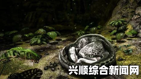 方舟生存进化矿洞地图分布详解与攻略