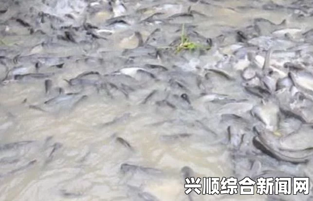 地铁逃离鲶鱼位置深度解析，寻找指南与攻略