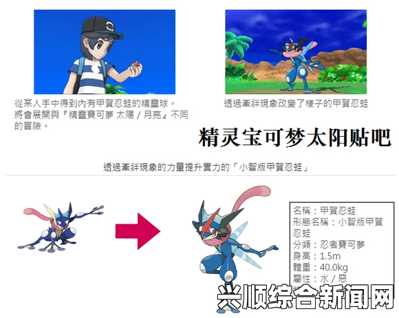 小智版甲贺忍蛙全方位配招攻略详解