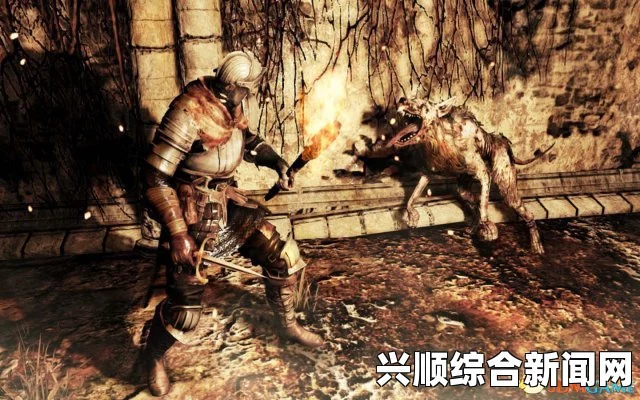 黑暗之魂2原罪学者，失落皇冠DLC咒术装备搭配与打法攻略心得分享