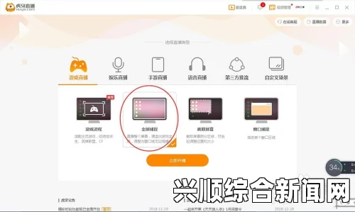 NS和Switch区别解析