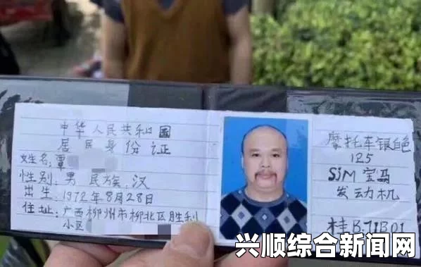 文件证件种类详解及内容概览