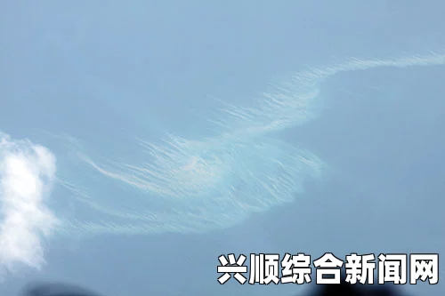 越南最新发现疑似飞机舷窗或门残骸，揭示事故谜团深入探索
