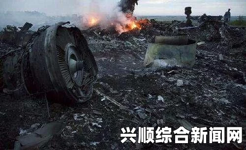 美国NASA发布疑似马航MH370失事地高清地图，揭秘航空悲剧的背后