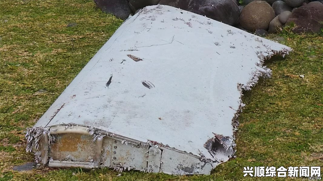 美国NASA发布疑似马航MH370失事地高清地图，揭秘航空悲剧的背后