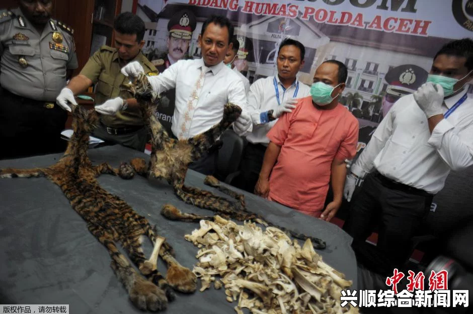 警方逮捕九名藏人非法入境尼泊尔从事反华活动