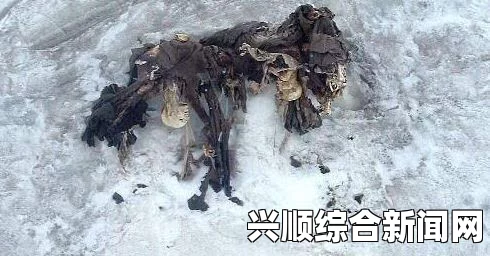 图文报道，阿尔卑斯山融冰揭示惊人发现，冰封八十名一战士兵遗体