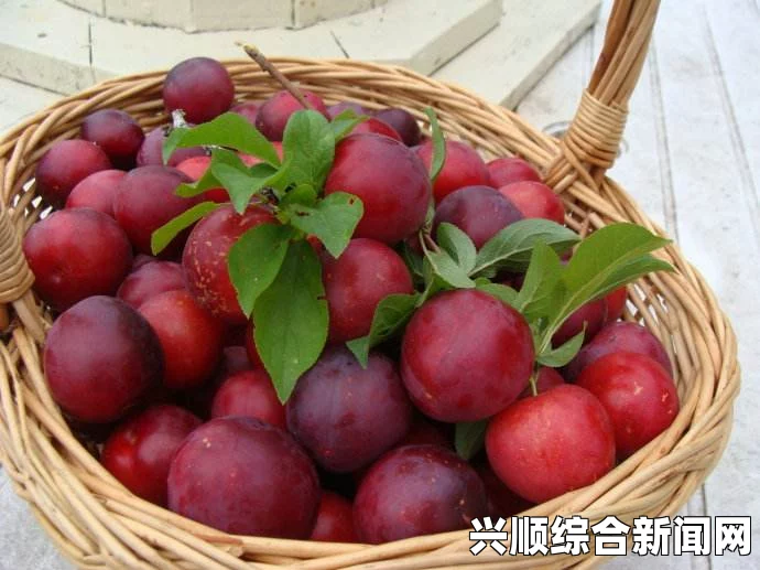 李子柒，绵阳美食博主的璀璨之星